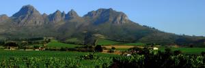 Rector and Executive Mayor’s Forum explores synergies on innovation in Stellenbosch