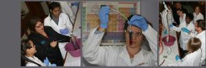 Rector and PGCE students gain practical experience in lab