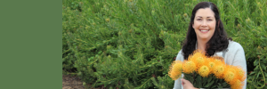 Research hailed as a “game changer” for pincushion flower industry