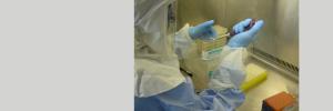 Research helps intensify battle against TB