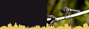 #Researchforimpact: Approaching climate challenges holistically