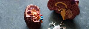 #Researchforimpact: Wounds that time won't heal