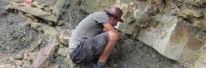 Resolving cryptic stratigraphy in the Ecca Group