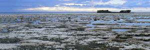 Rising CO2 levels, climate change destroying ecosystems and biodiversity