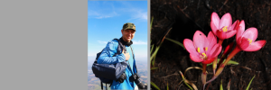 SA botanist discovers new species of iris in the Langeberg