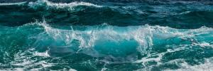 Scholars help protect Africa’s oceans