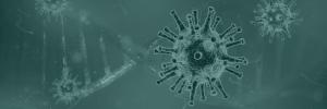 Scientists unravel the COVID-19 pandemic