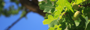 ​Social Impact Symposium 2022 - Universities are about more than just teaching and learning