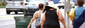 South Africa’s twin malnutrition challenges: hunger and obesity