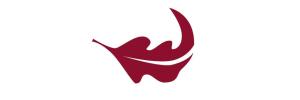 Special exam arrangements to assist students announced