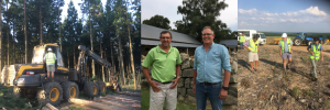 Stellenbosch Dean attends ‘indaba’ on education and cooperation with leading forestry representatives