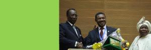 Stellenbosch pomegranate researcher honoured with African Union Science Prize