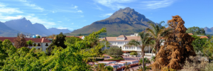 Stellenbosch University climbs on global university ranking