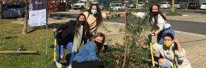 SU celebrates Arbour Week by planting trees on campus