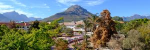SU to co-lead four newly announced Africa-Europe Clusters of Research Excellence