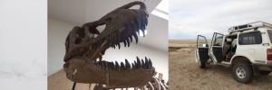 SU Earth Scientist in the Eastern Gobi, Mongolia