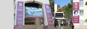 SU honours Ma Albertina Sisulu
