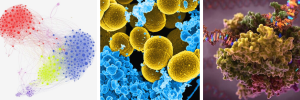 SU offers exciting new interdisciplinary study options in the natural sciences