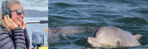 SU researchers and local film company create awareness around endangered humpback dolphins