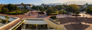 SU shines in latest global ranking of academic subjects