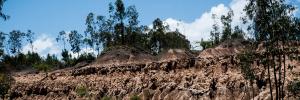 SU signs MoU to help with sustainable soil management in Africa