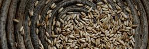 Sub-Saharan Africa has a long way to go before it cracks food insecurity