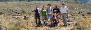 SU’s Eucalyptus research programme gets R20 million boost