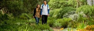 Sustainability in practice at SU