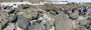 Teaching and Field excursions