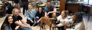Therapy dogs on campus of Stellenbosch University!