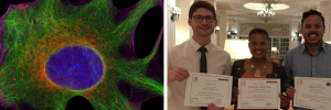 Top studente in mikroskopie