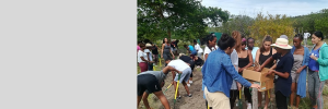 Undergraduate Diploma in Sustainable Development