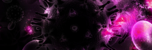 Unique SA dataset reveals number of HIV deaths before antiretrovirals