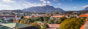Update on Admissions Policy and the Rector’s Discretionary Placement — Council to consider next steps