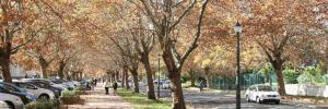 US kry uitstel vir taalimplementering
