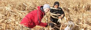 US stel nuwe nagraadse diploma vir agronome in