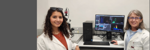Valuable exchange of expertise on extracellular vesicle research