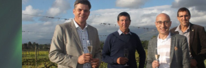 VINPRO AND STELLENBOSCH UNIVERSITY REVIVE EXPERIMENTAL VINEYARDS