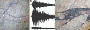 THE VREDEFORT IMPACT ‘GLASSES’: STELLENBOSCH RESEARCHER TAKES A FRESH LOOK AT ROCKS FIRST STUDIED HERE