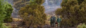 Waarom die brand op Kaapstad se ikoniese Tafelberg so verwoestend was
