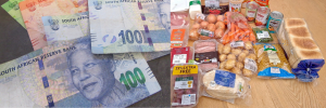 Was the government’s failure to reinstate the R350 Covid-19 relief grant constitutional?