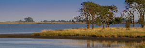 Wêreldnatuur-bewaringsdag: Bevorder volhou-baarheid en veerkragtigheid van natuurlike hulpbronne.