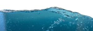 What and how much should we drink per day?