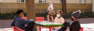 What to do as a final-year student in these pandemic times