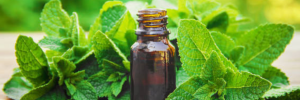 Which herbal medicines can REALLY help you lose weight?