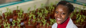 #WomenofSU – Focus on Prof Nox Makunga
