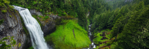 World Environment Day: Our future depends on a healthy environment