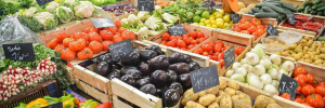 World Food Day: Build sustainable food systems
