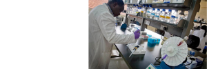 African scientists call for equitable research partnerships to advance microbiome research