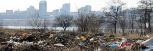 A different kind of partnership needed to protect SA’s vulnerable environment